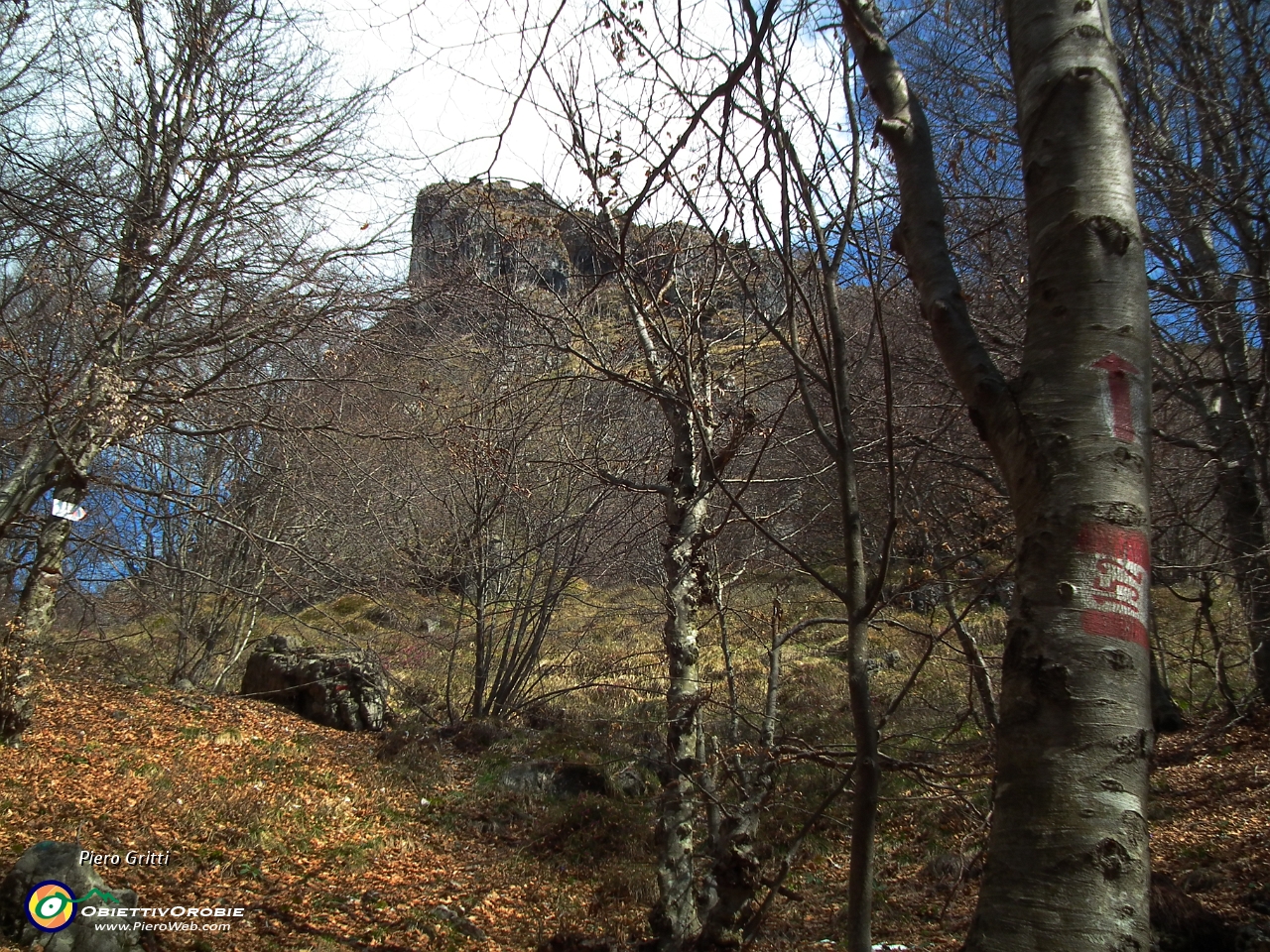 29 Alla forcella, si lascia il bosco e  si sale a dx....JPG